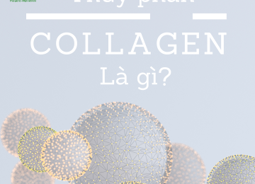 COLLAGEN THỦY PHÂN LÀ GÌ? CÔNG DỤNG CỦA COLLAGEN THỦY PHÂN TRONG LÀM ĐẸP