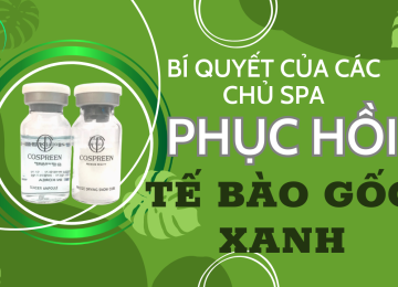 PHỤC HỒI DA HIỆU QUẢ DÀNH CHO CHỦ SPA