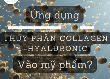 ỨNG DỤNG  COLLAGEN THỦY PHÂN VÀ  HYALURONIC THỦY PHÂN TRONG MỸ PHẨM